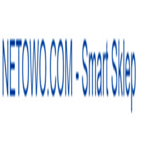 Logo firmy Netowo.com - Urządzenia smart home